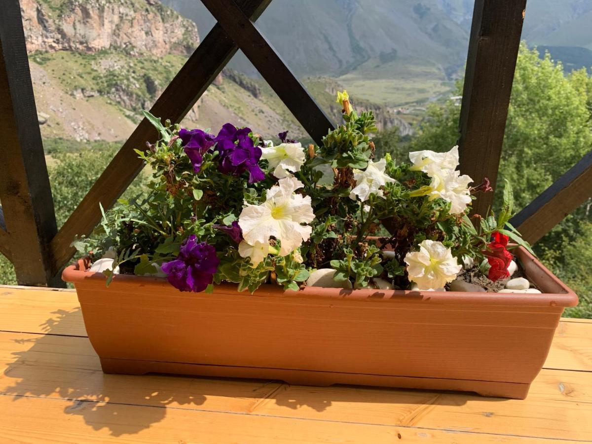 View Villa Kazbegi Dış mekan fotoğraf