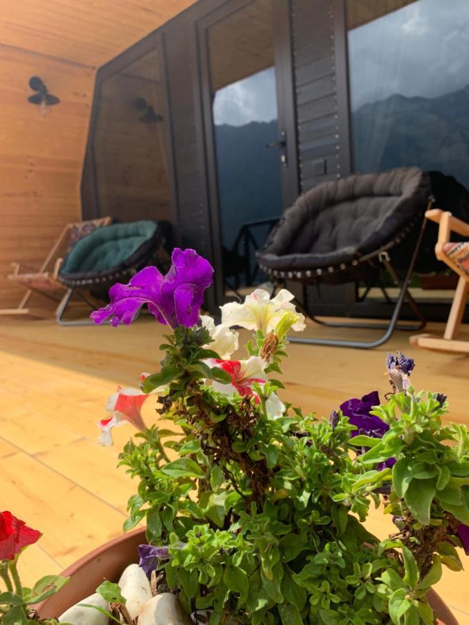 View Villa Kazbegi Dış mekan fotoğraf